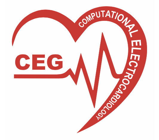 Computational Electrocardiology Group